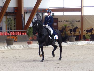 Maxime Collard, nouvelle partenaire Horse Master et Farnam !