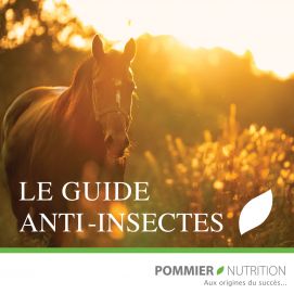 Notre guide anti-insectes est arrivé !