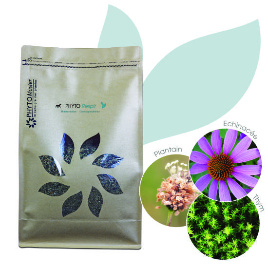 PHYTO RESPIR