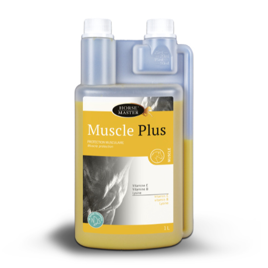 MUSCLE PLUS