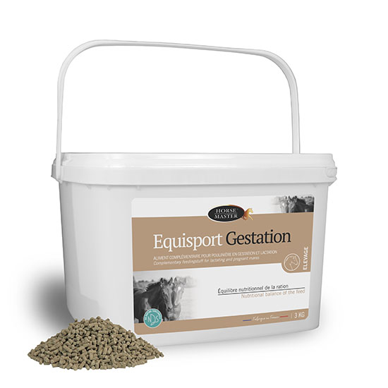 EQUISPORT GESTATION