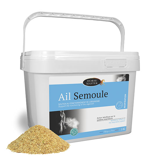 AIL SEMOULE