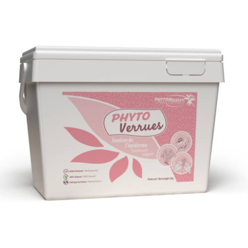 PHYTO VERRUES