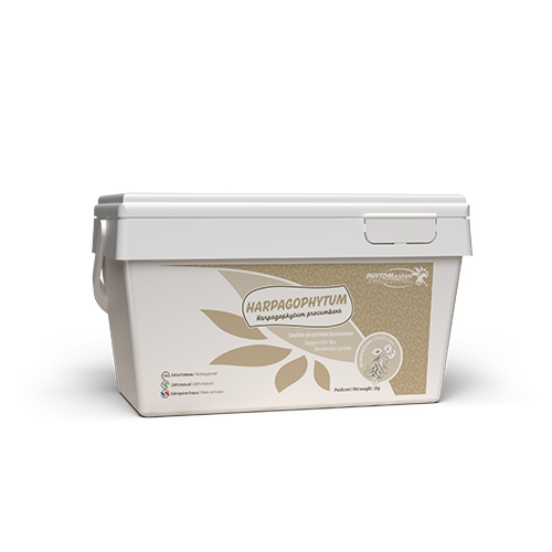 HARPAGOPHYTUM PUR