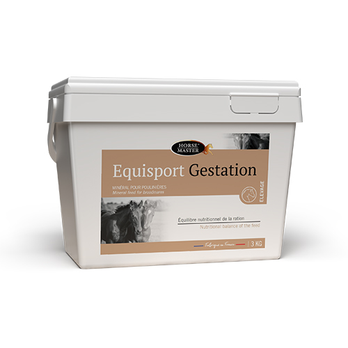 EQUISPORT GESTATION