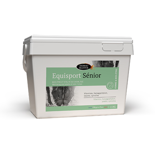 EQUISPORT SENIOR