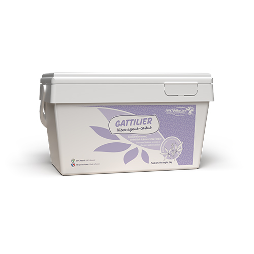 GATTILIER