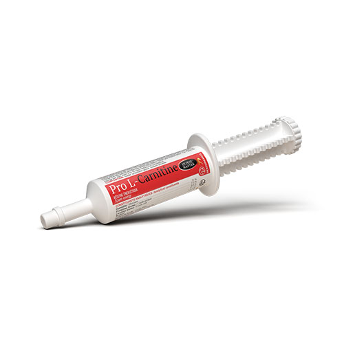 PRO L-CARNITINE