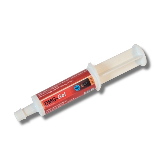 DMG GEL